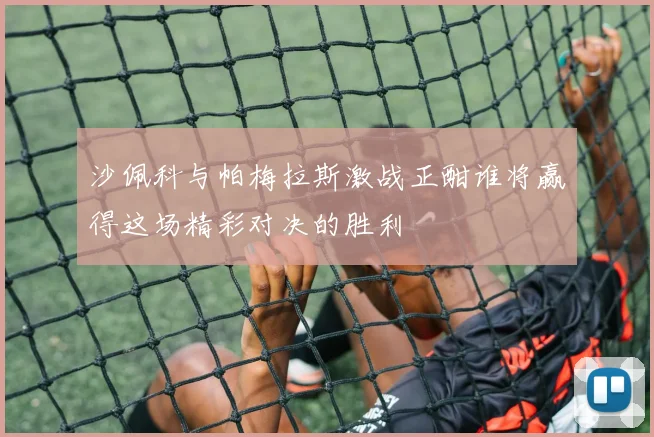 沙佩科与帕梅拉斯激战正酣谁将赢得这场精彩对决的胜利