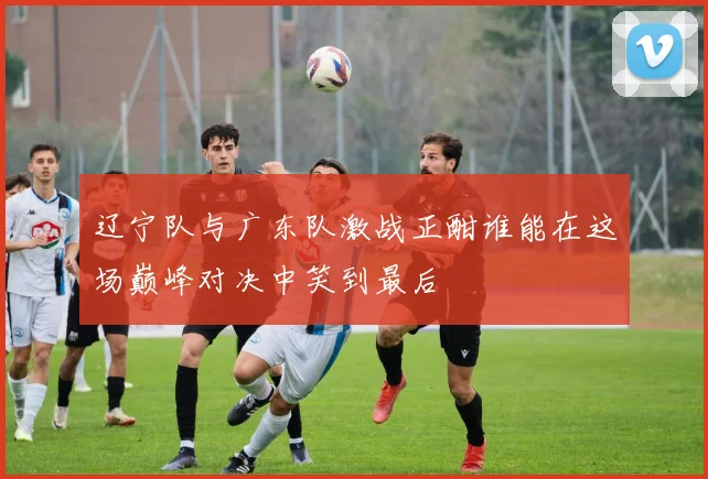 辽宁队与广东队激战正酣谁能在这场巅峰对决中笑到最后