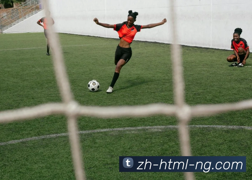 南宫PG平台生态图